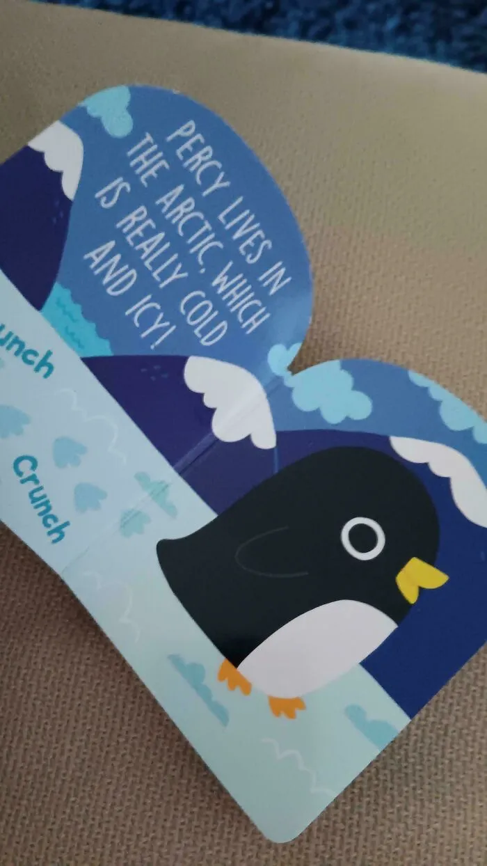 Children's Book Error