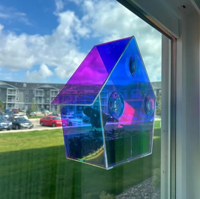 An <a Style="Display:inline;" Href="Https://Www.amazon.com/Window-Feeder-Suction-Removable-Iridescent/Dp/B0bzr3x8y8?ie=utf8&th=1&linkcode=ll1&tag=bpwoodpecker-20&linkid=aa94b4851d9b3f2038799683bf271ae7&language=en_us&ref_=as_li_ss_tl" Target="_blank"><span Style="Font: Inherit; Color: #d74b1f;"> Iridecent Bird Feeder </Span> Brings The Magic Of The Outdoors To Your Windowpane, And A Dash Of Drama To Your Decor