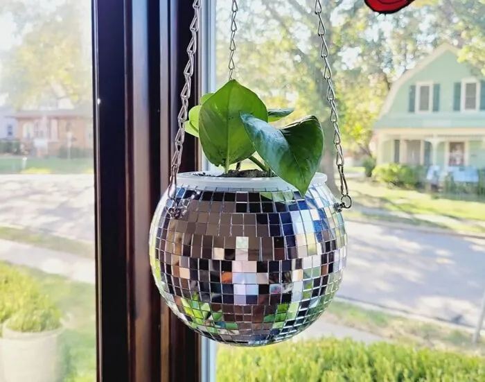 Spin Some Sparkle Into Your Space With This <a Style="Display:inline;" Href="Https://Www.amazon.com/Scandinordica-Disco-Ball-Planter-Hanging/Dp/B08y1yvl7r?ie=utf8&th=1&linkcode=ll1&tag=bpwoodpecker-20&linkid=0a235a685e0a5b28026f2c8bdf7f16aa&language=en_us&ref_=as_li_ss_tl" Target="_blank"><span Style="Font: Inherit; Color: #d74b1f;"> Disco Ball Planter</Span> That Shines Bright And Brings The Party To Your Plants
