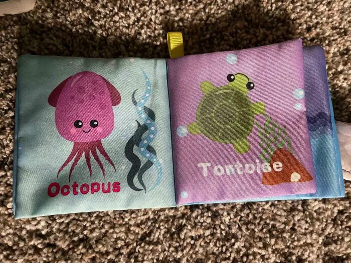 My Son’s Book On Ocean Creatures Has Two Errors On One Page: The Octopus Is A Squid And Tortoises Aren’t Found In The Ocean