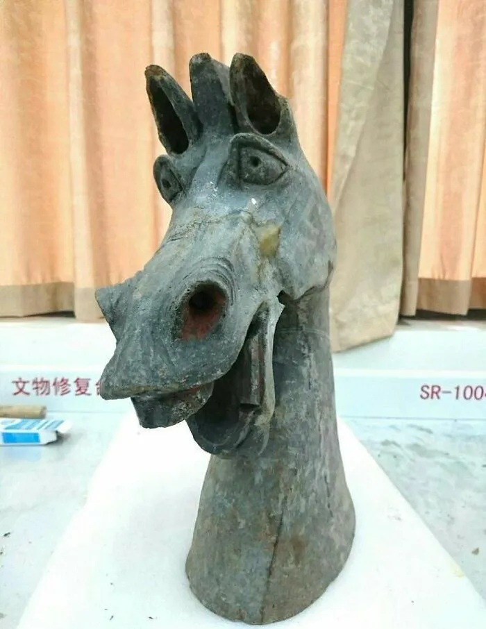 Ancient artefact of a horse head sculpture displayed in a museum setting.