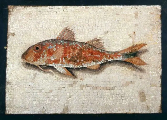 Ancient artefact depicting a fish mosaic, showcasing intricate design and vibrant colors, beautifully preserved over time.
