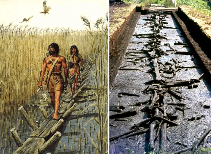 Sweet Track es una pasarela neolítica de madera de 5.830 años de antigüedad, situada en Somerset Levels (Inglaterra) y descubierta en 1970.