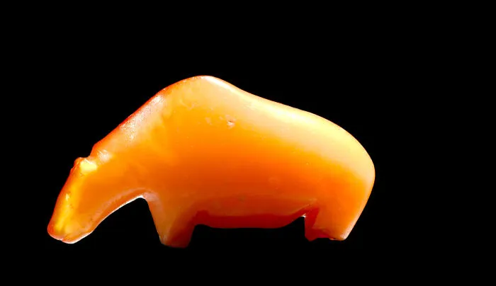 El oso de ámbar que mi padre encontró en 1990. Data de la Edad de Piedra. Actualmente expuesto en el Museo de Historia Natural de Copenhague.