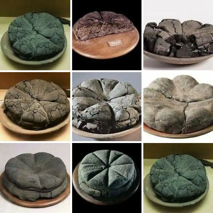 Ancient artefacts: various preserved loaves of bread displayed on plates, showcasing historical baking methods.