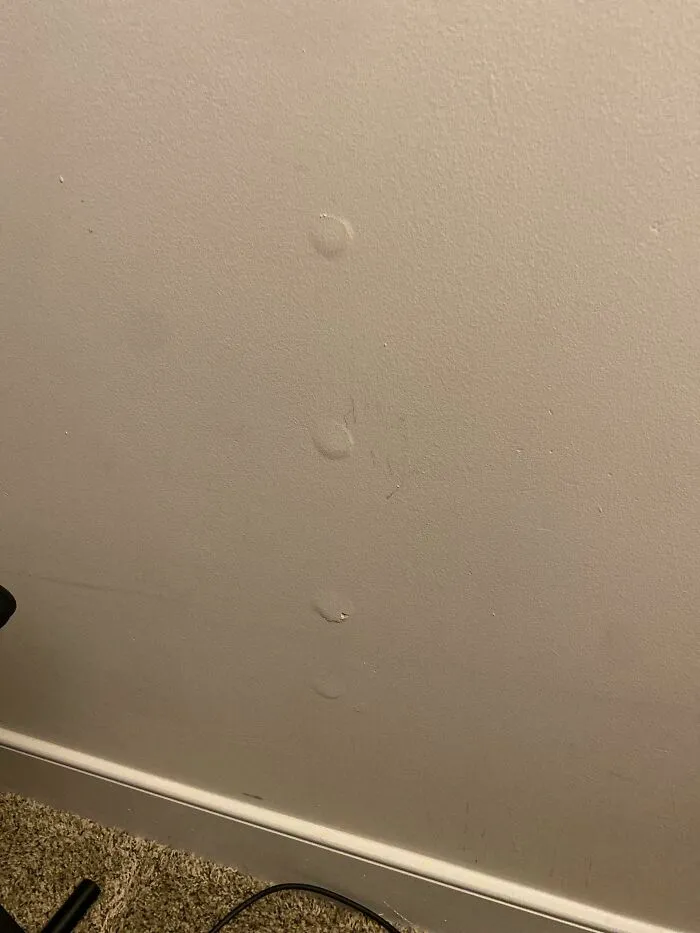 Raised Circles That Just Showed Up On My Wall Within The Past Day