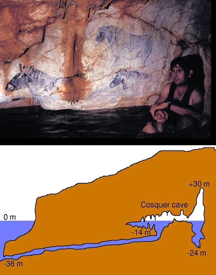 Ancient artefacts in Cosquer Cave with prehistoric horse paintings on rocky walls; human partially submerged nearby.