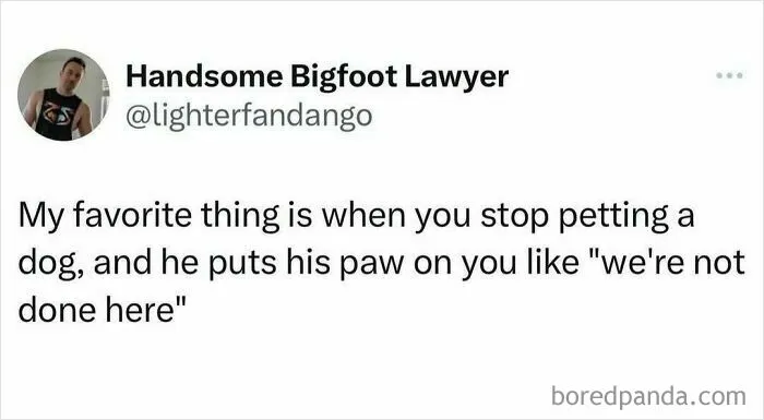 50 Memes And Jokes You Shouldn’t Read If You Don’t Want To Get Smile Wrinkles