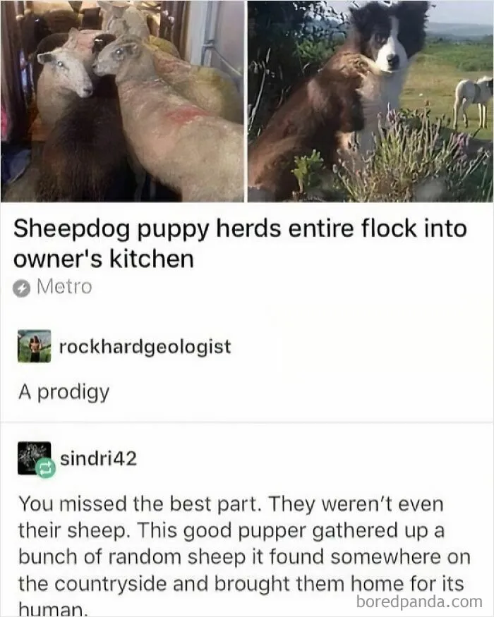 50 Of The Funniest Tumblr Posts That Deserve To Be Seen Again