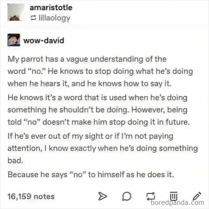 50 Of The Funniest Tumblr Posts That Deserve To Be Seen Again
