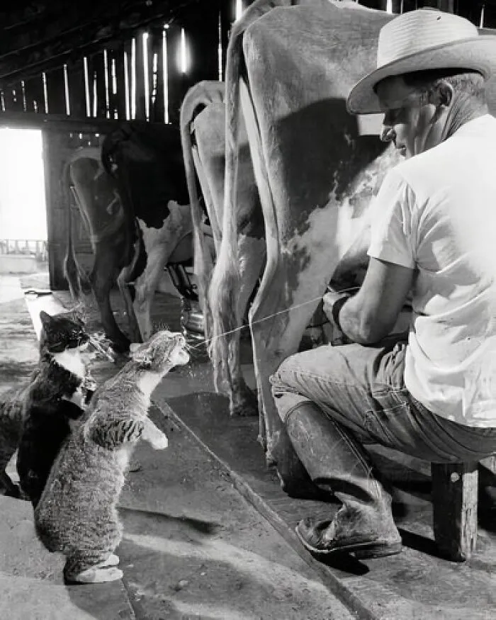 30 Pics That Are Likely To Infect You With Happiness