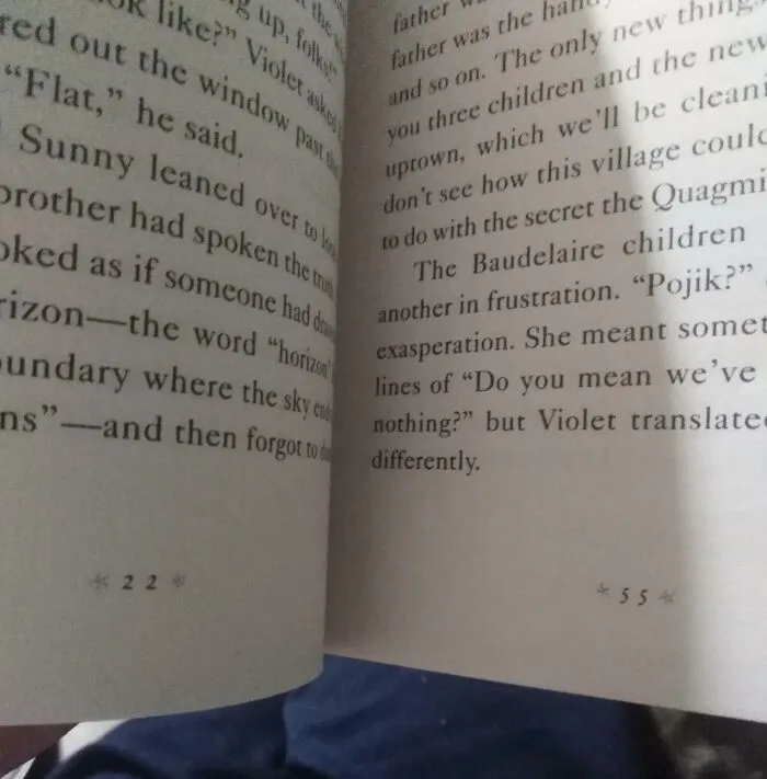 Poorly-written-designed books page spread showing inconsistent text alignment and formatting issues.