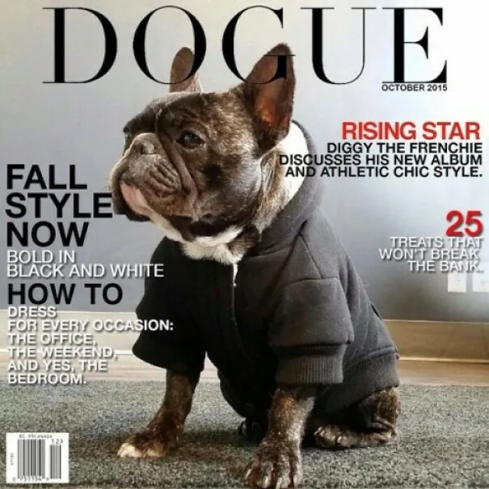 40 Hilarious And Heartwarming Pics Of Dogs Modeling Cutting-Edge Pet Styles 