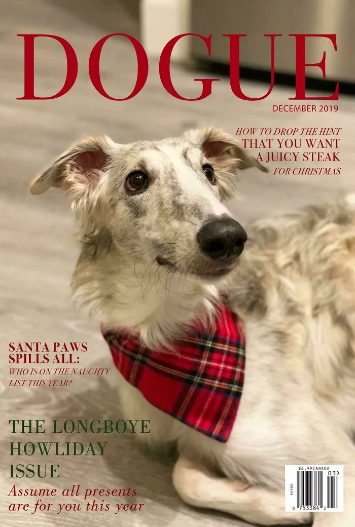 40 Hilarious And Heartwarming Pics Of Dogs Modeling Cutting-Edge Pet Styles 