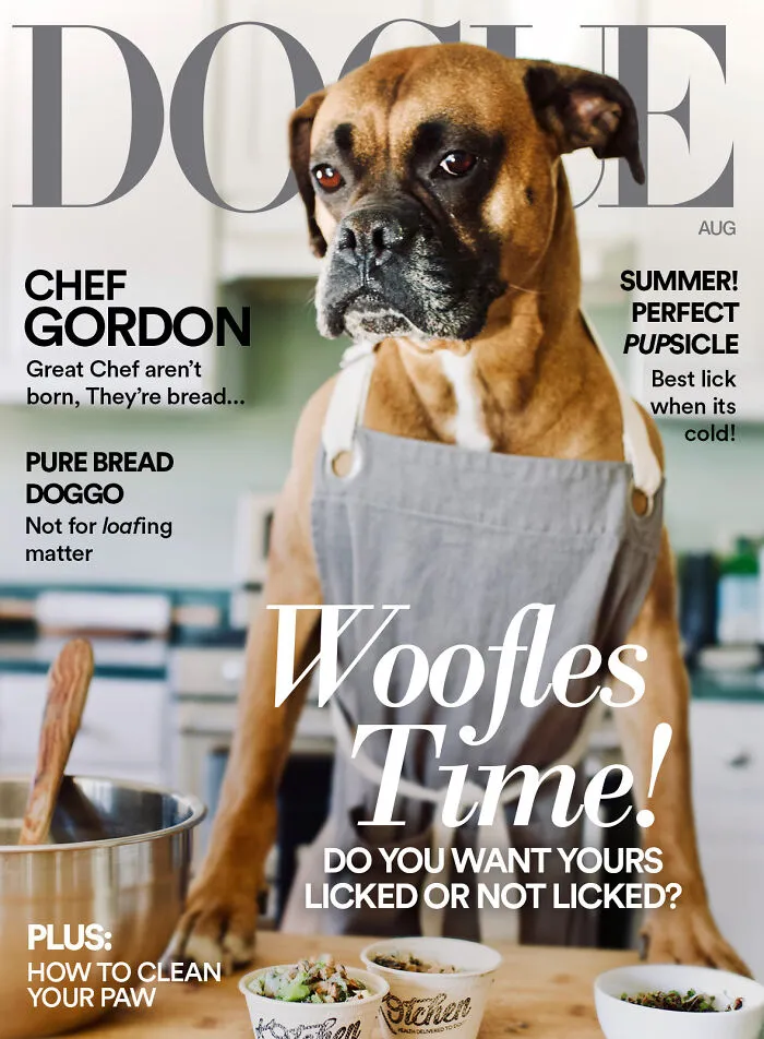 40 Hilarious And Heartwarming Pics Of Dogs Modeling Cutting-Edge Pet Styles 