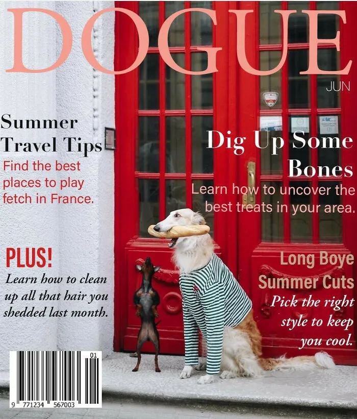 40 Hilarious And Heartwarming Pics Of Dogs Modeling Cutting-Edge Pet Styles 