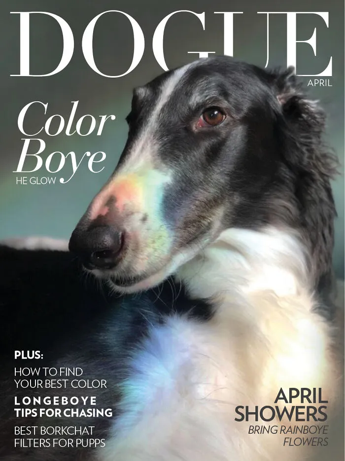 40 Hilarious And Heartwarming Pics Of Dogs Modeling Cutting-Edge Pet Styles 