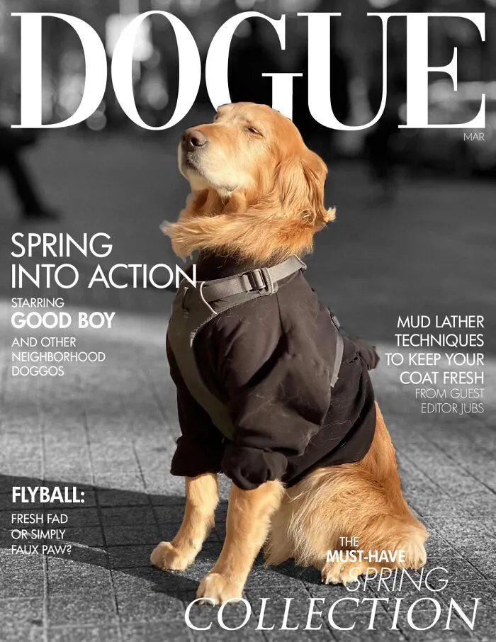 40 Hilarious And Heartwarming Pics Of Dogs Modeling Cutting-Edge Pet Styles 