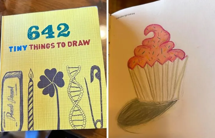 This <a Style="Display:inline;" Href="Https://Www.amazon.com/Tiny-Things-Draw-Chronicle-Books/Dp/1452137579?ie=utf8&linkcode=ll1&tag=bpcrocodile-20&linkid=84feb4e037150b2b46e758d815d48bc7&language=en_us&ref_=as_li_ss_tl" Target="_blank"> <span Style="Font: Inherit; Color: #d74b1f;"> 642 Tiny Things To Draw Book </Span> Is For When You Want To Doodle But Can’t Decide Between A Tiny Taco Or A Microscopic Unicorn