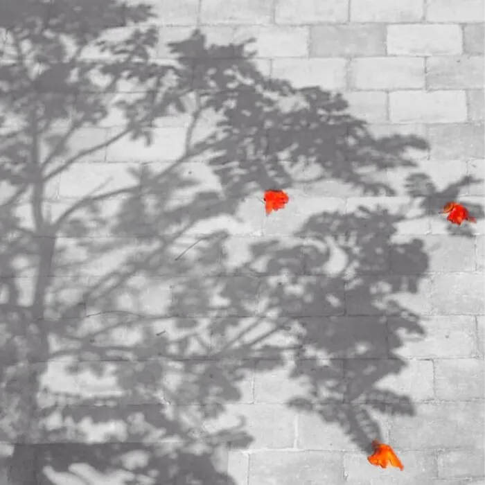 This Photographer Finds Extraordinary Aesthetics In Capturing Spontaneous Moments (70 Pics)