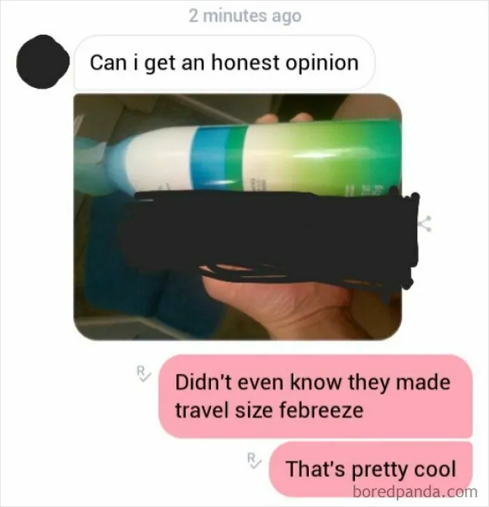 Free Advertising For Febreeze At Least?