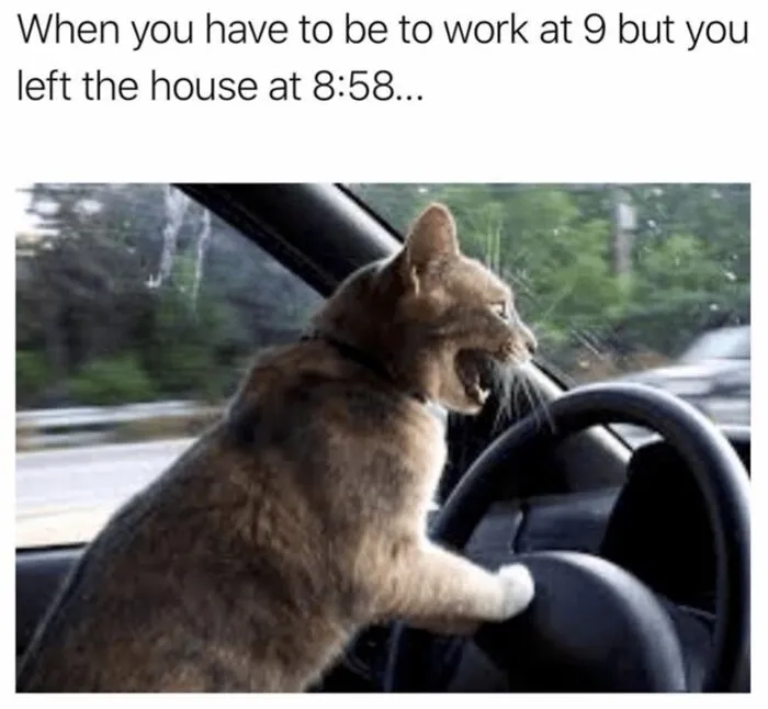 I Collected 16 Relatable Memes