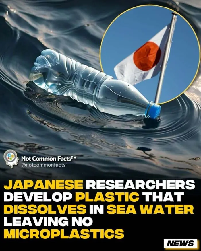 30 Surprising Facts That Prove Our World Is Full Of Fascinating Secrets (New Pics)