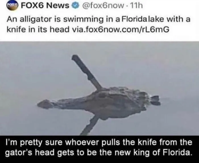 Florida Man King