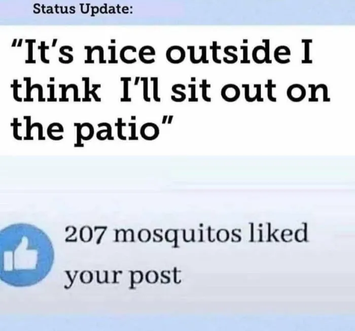 In Georgia