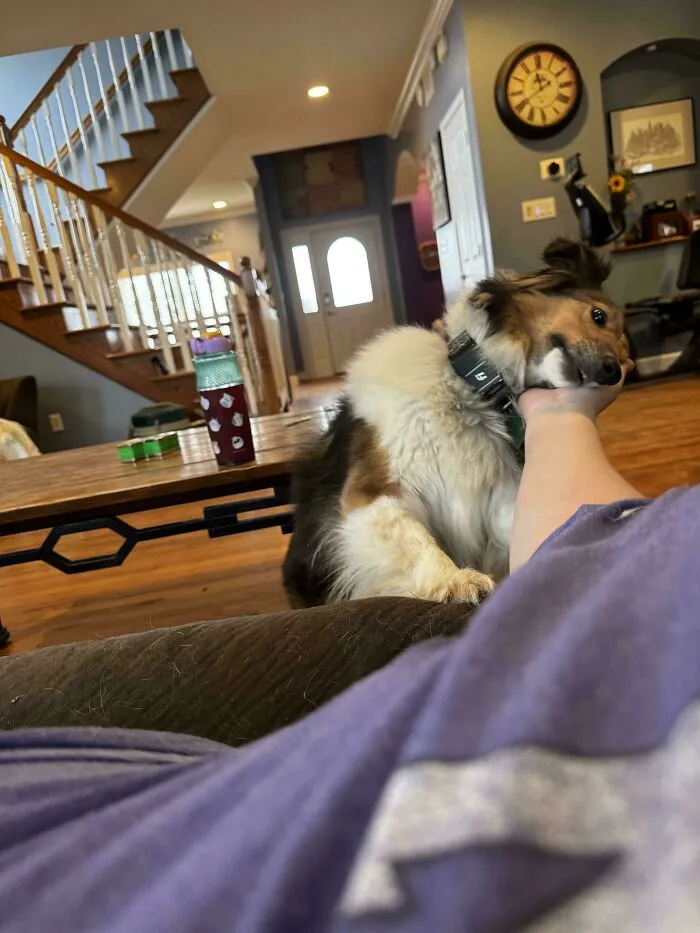 She Lays Her Head On My Hand Whenever I Hold It Out. Almost Every Time