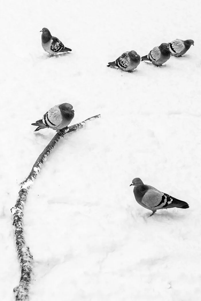 André’s 30 Captivating Street Photos Reveal The Soul Of Oslo And Stockholm