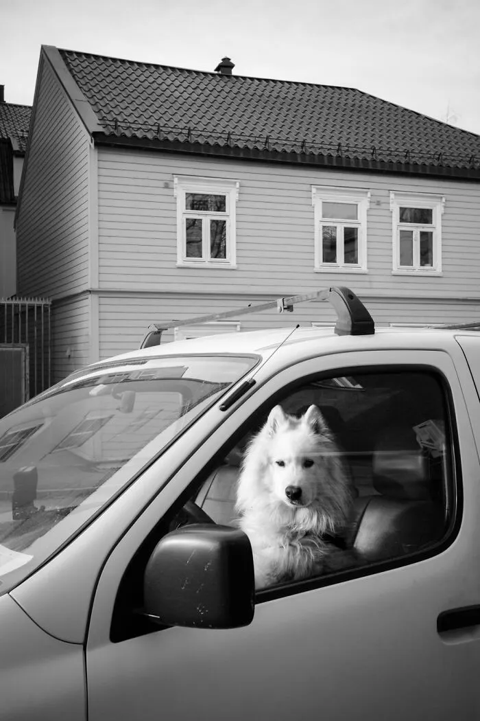 André’s 30 Captivating Street Photos Reveal The Soul Of Oslo And Stockholm