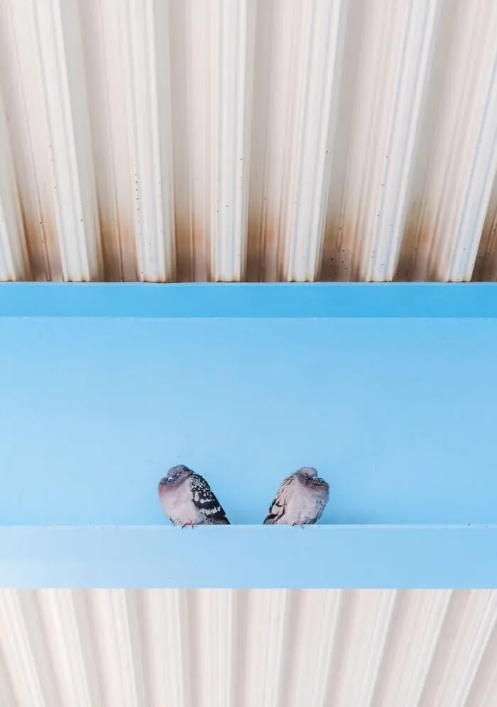André’s 30 Captivating Street Photos Reveal The Soul Of Oslo And Stockholm