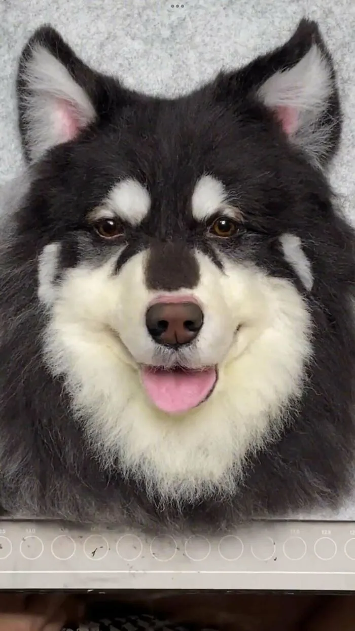 It Took Me A Couple Of Days To Complete This Needle Felted Portrait, But It Was Worth It Right?