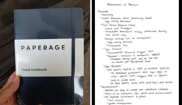 <a Style="Display:inline;" Href="Https://Www.amazon.com/Journal-Lined-Hardcover-Notebook-Expandable/Dp/B07l4jcg7t?ie=utf8&th=1&linkcode=ll1&tag=bpaxolotl-20&linkid=f2cb309103965e21a1dba13483de4c4c&language=en_us&ref_=as_li_ss_tl " Target="_blank"><span Style="Font:inherit;color:#d74b1f;"> Classic Paper Notebook </Span> vs. <a Style="Display:inline;" Href="Https://Www.amazon.com/Rocketbook-Reusable-Spiral-Notebook-Letter/Dp/B071y3msrk?ie=utf8&th=1&linkcode=ll1&tag=bpaxolotl-20&linkid=13c0ffd895d664524a24d07204754c05&language=en_us&ref_=as_li_ss_tl " Target="_blank"><span Style="Font:inherit;color:#d74b1f;"> Rocketbook Core Reusable Spiral Notebook </Span>