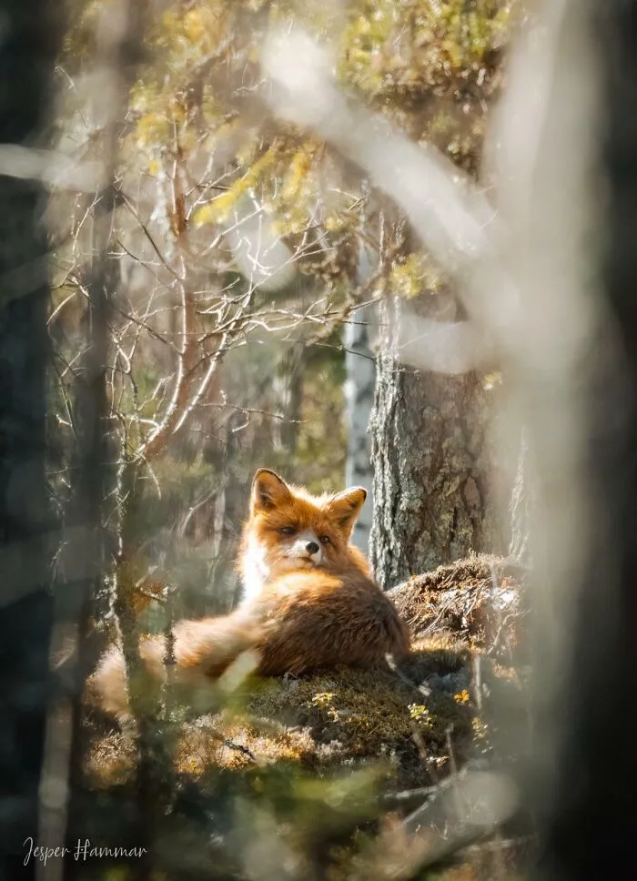 Anyone Else Love It When A Natural Frame Presents Itself? One Of My Favorite Shots So Far