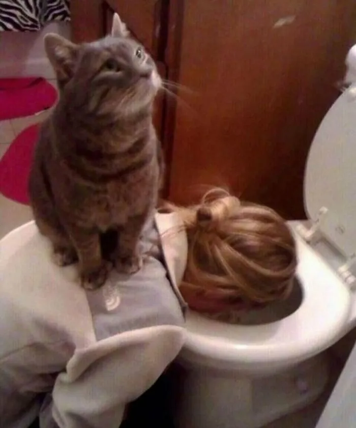 Awkward, Unhinged And Hilarious Animal Pics For Those Who Need A Break From Cuteness