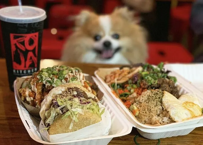 A fluffy dog eagerly looking at plates of food, featuring tacos and rice dishes, with a drink cup nearby.