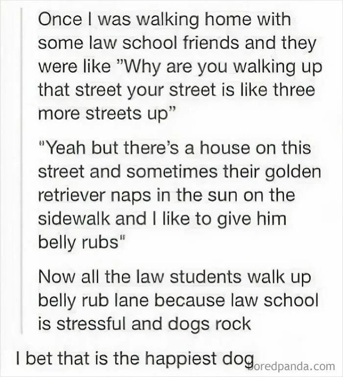 50 Of The Funniest Tumblr Posts That Deserve To Be Seen Again