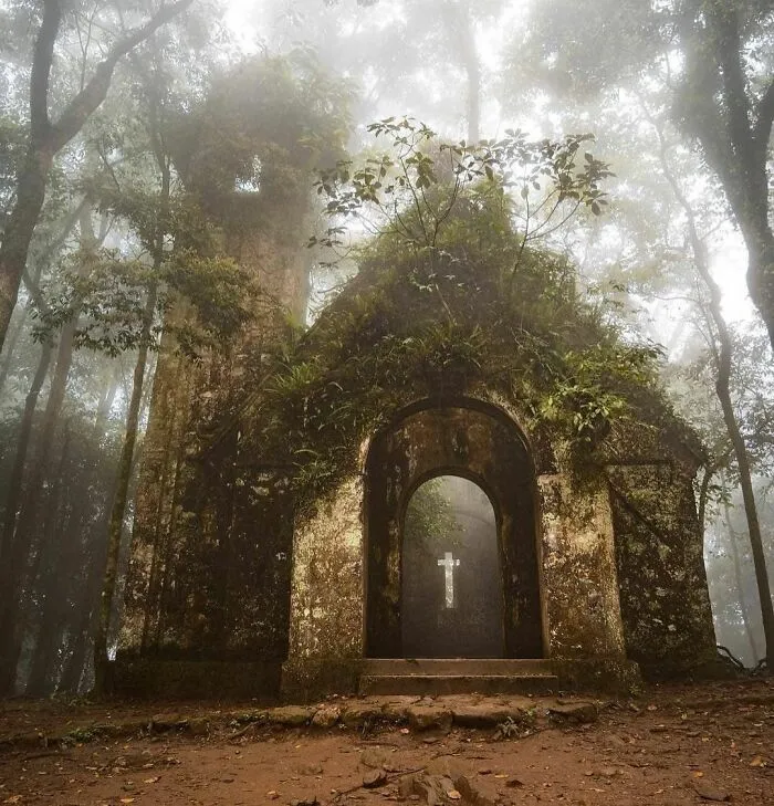 Abandoned Church In The Woods