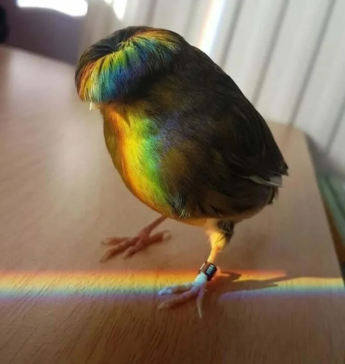 Awkward, Unhinged And Hilarious Animal Pics For Those Who Need A Break From Cuteness