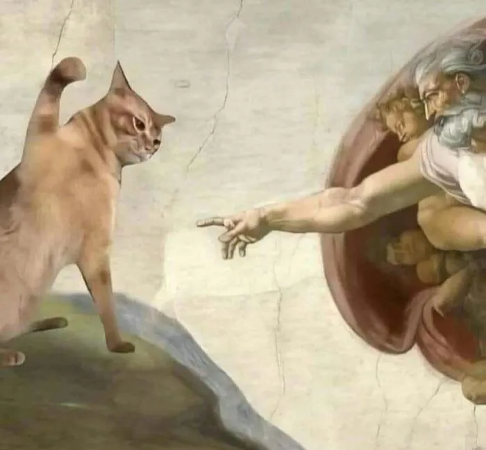 Awkward, Unhinged And Hilarious Animal Pics For Those Who Need A Break From Cuteness