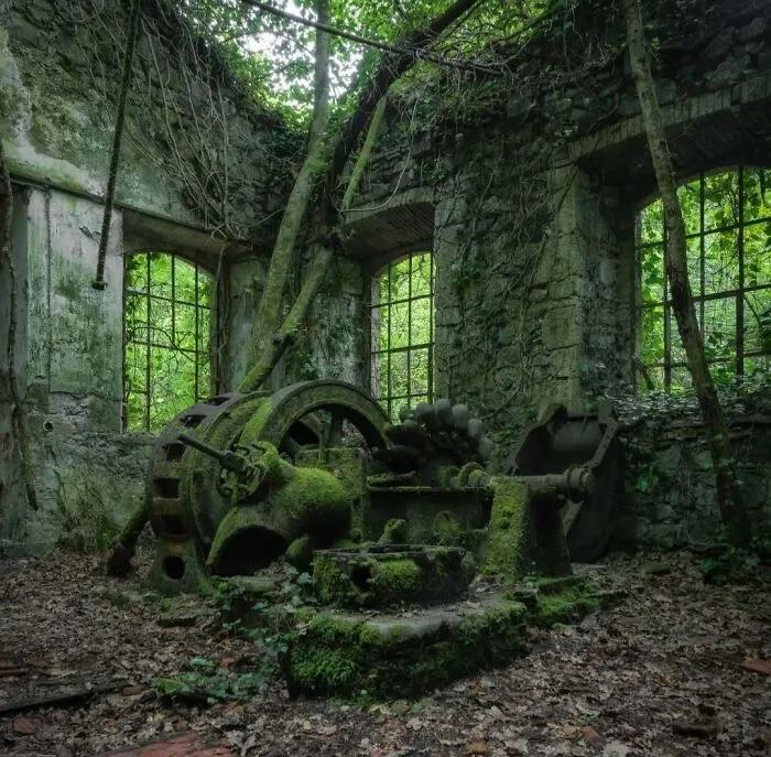 Green Machines