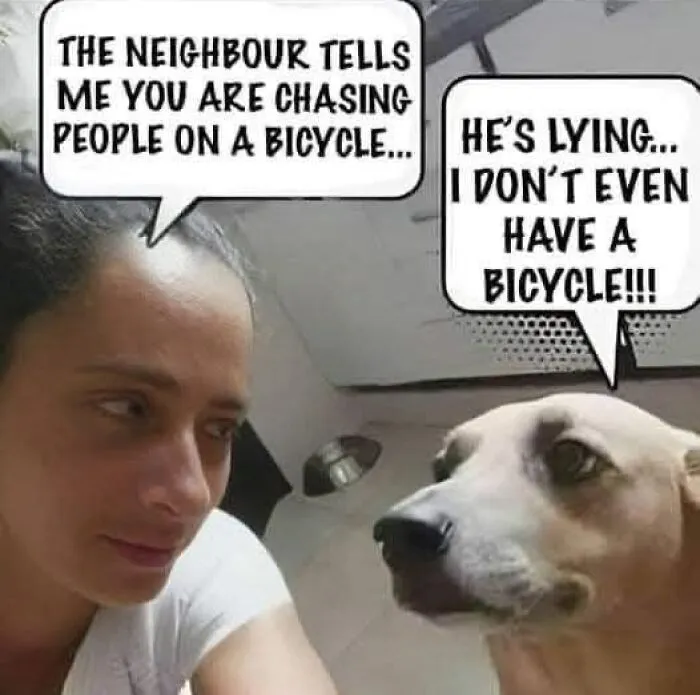 40 Hilariously Silly Jokes And Memes From Dads Who Just Can’t Help It (New Pics)