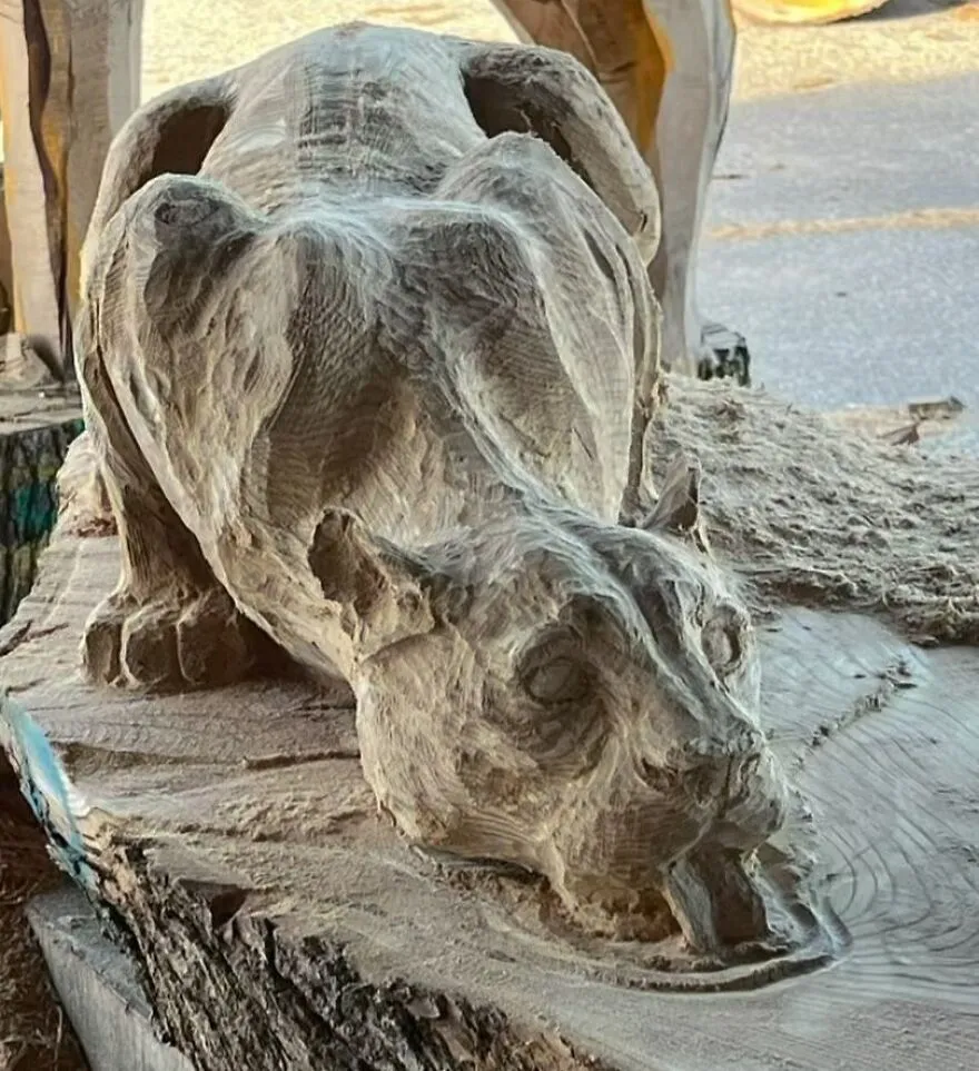 This Chainsaw Sculptor Transforms Logs Into Stunning Works Of Art (20 Pics)