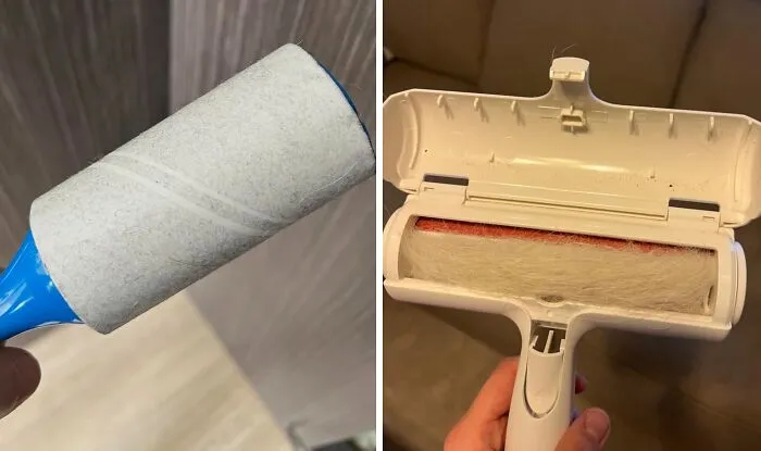 <a Style="Display:inline;" Href="Https://Www.amazon.com/Petlovers-Sticky-Roller-Removal-Remover/Dp/B0d4ywhq2y?ie=utf8&th=1&linkcode=ll1&tag=bpaxolotl-20&linkid=7bead8607f01487ea25563f290761024&language=en_us&ref_=as_li_ss_tl " Target="_blank"><span Style="Font:inherit;color:#d74b1f;"> Trusty Old Lint Roller </Span> vs. <a Style="Display:inline;" Href="Https://Www.amazon.com/Pet-Dog-Cat-Hair-Remover-Couch/Dp/B00bagtnaq?ie=utf8&th=1&linkcode=ll1&tag=bpaxolotl-20&linkid=d647fb6e39e1622302c1d21e14c5cad2&language=en_us&ref_=as_li_ss_tl " Target="_blank"><span Style="Font:inherit;color:#d74b1f;"> Chom Chom Roller </Span>