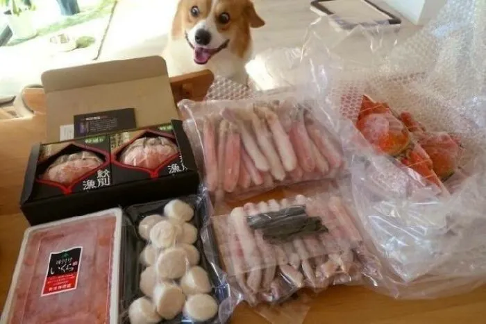 Oh Boyo Oboyo Oboyo Oboyo Oboyo Oboyo Oboyo Oboyo