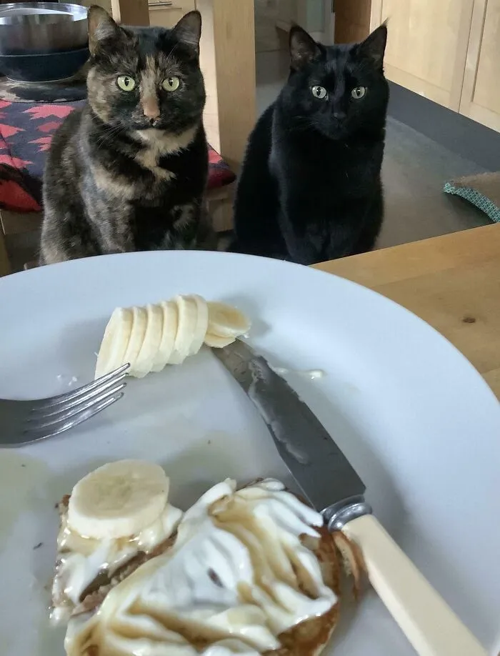Patience Is A Virtue