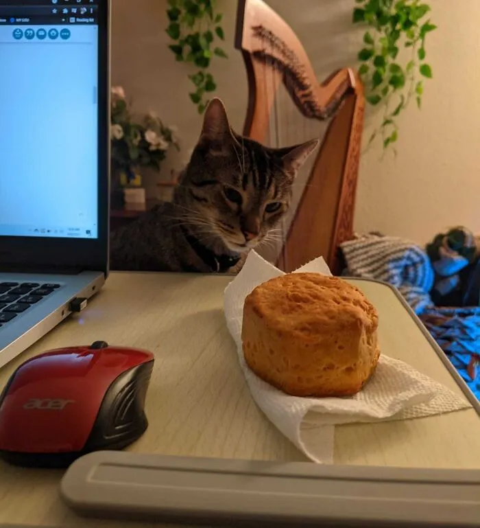 Bryce And The Biscuit