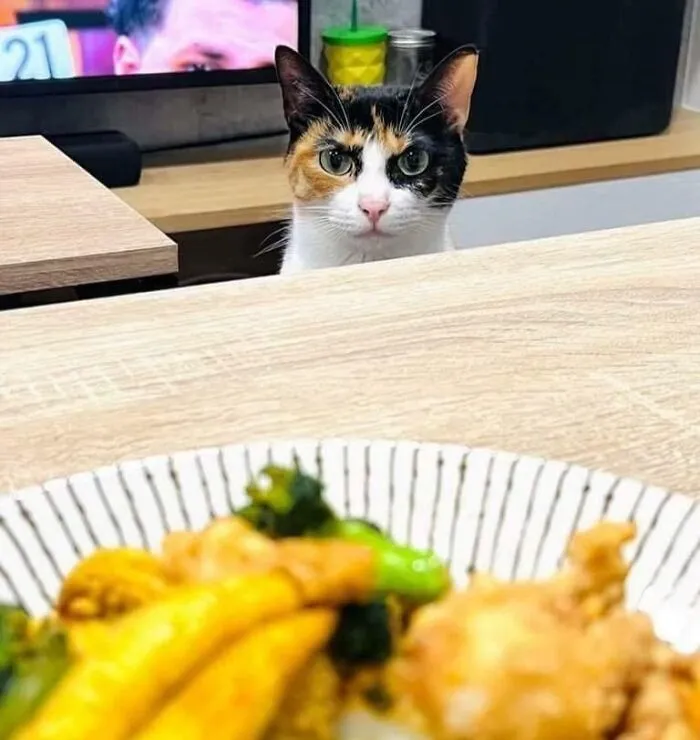 You Eat But Didn’t Invite Me